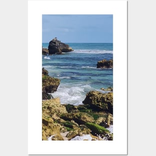 Coastal scene - shag on a rock Posters and Art